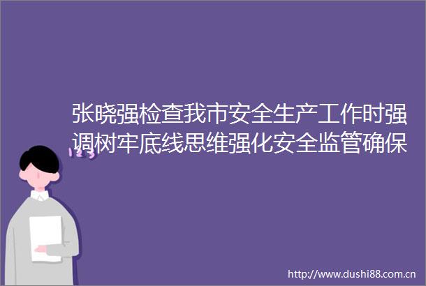 张晓强检查我市安全生产工作时强调树牢底线思维强化安全监管确保群众平安欢乐祥和过节