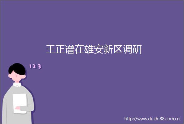 王正谱在雄安新区调研