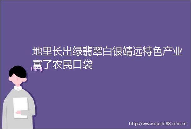 地里长出绿翡翠白银靖远特色产业富了农民口袋