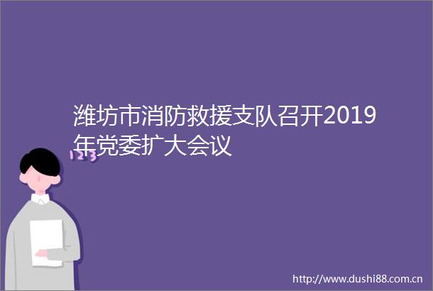 潍坊市消防救援支队召开2019年党委扩大会议