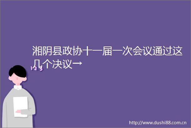 湘阴县政协十一届一次会议通过这几个决议→