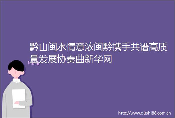 黔山闽水情意浓闽黔携手共谱高质量发展协奏曲新华网