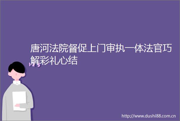 唐河督促上门审执一体巧解彩礼心结