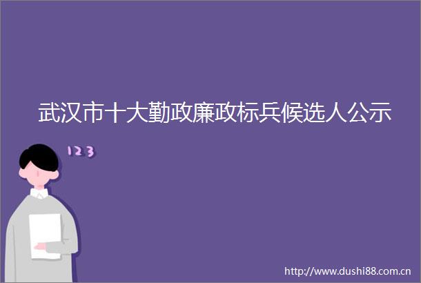 武汉市十大勤政廉政标兵候选人公示