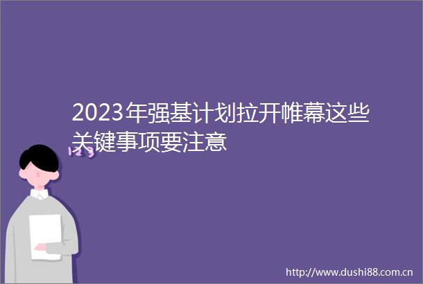 2023年强基计划拉开帷幕这些关键事项要注意