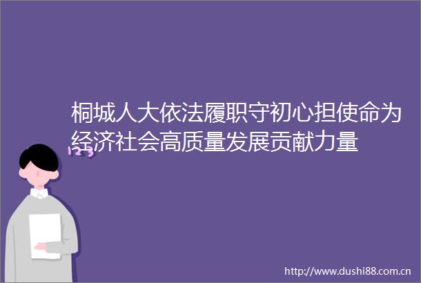 桐城人大依法履职守初心担使命为经济社会高质量发展贡献力量