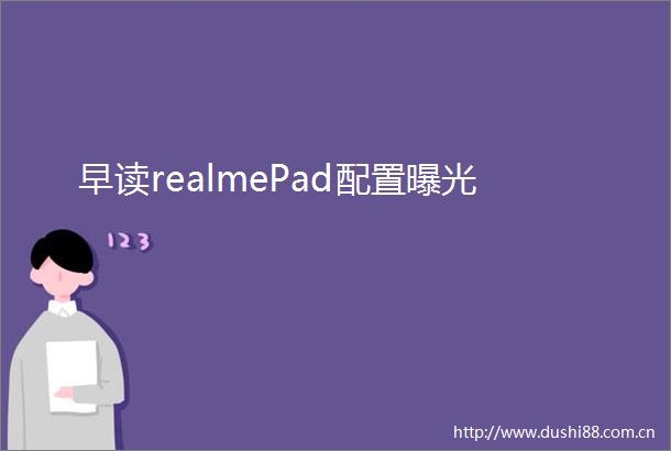 早读realmePad配置