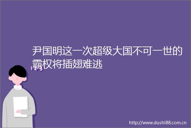 尹国明这一次超级大国不可一世的霸权将插翅难逃