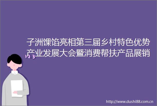 子洲馃馅亮相第三届乡村特色优势产业发展大会暨消费帮扶产品展销会