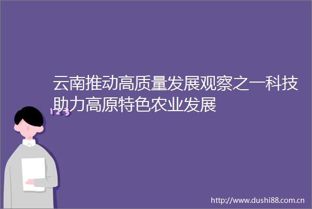 云南推动高质量发展观察之一科技助力高原特色农业发展