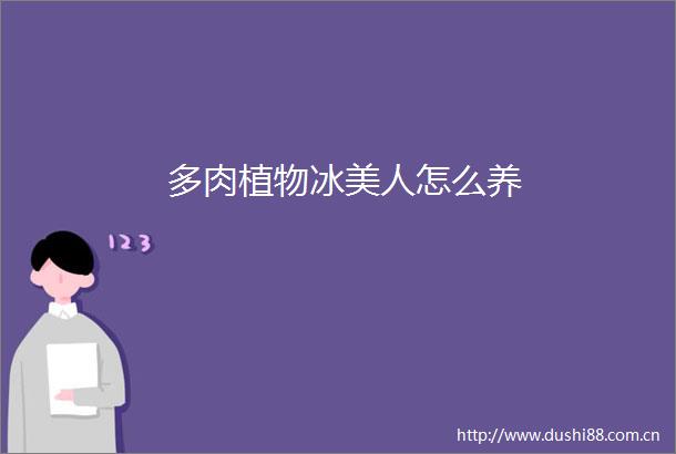 多肉植物冰美人怎么养