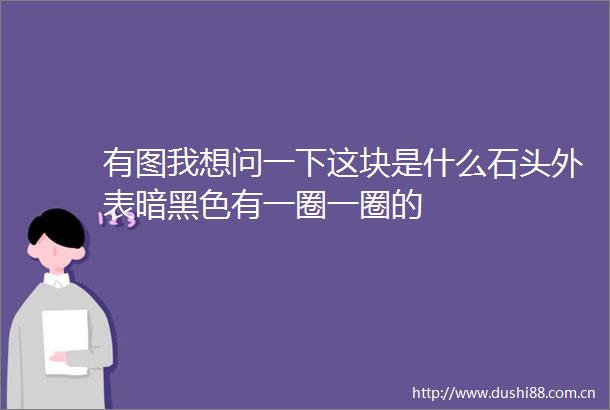 有图我想问一下这块是什么石头外表暗黑色有一圈一圈的