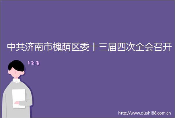 济南市槐荫区委十三届四次全会召开