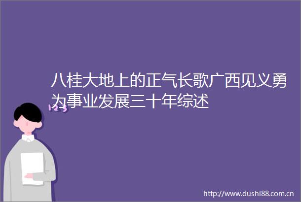 八桂大地上的正气长歌广西见义勇为事业发展三十年综述