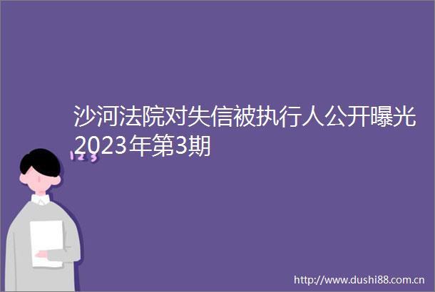 沙河对失信被执行人公开2023年第3期