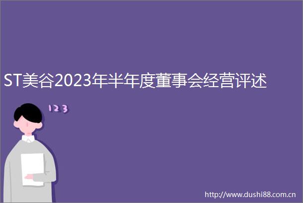 ST美谷2023年半年度董事会经营评述