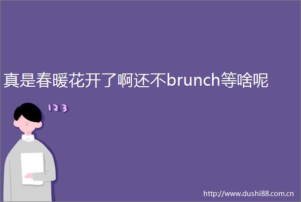 真是春暖花开了啊还不brunch等啥呢