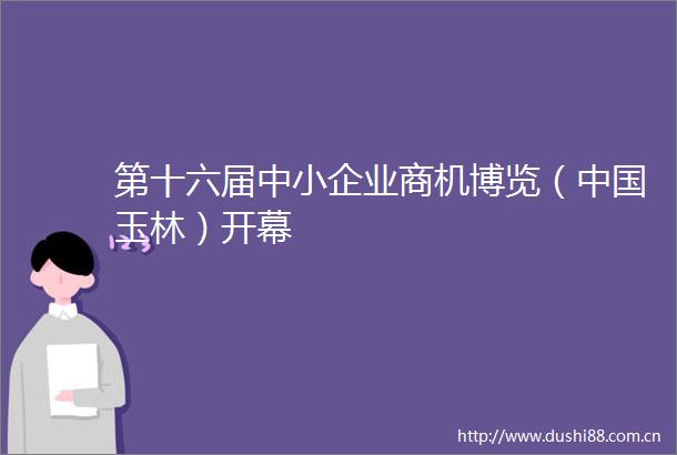 第十六届中小企业商机博览（玉林）开幕