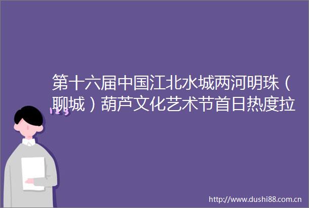 第十六届江北水城两河明珠（聊城）葫芦文化艺术节首日热度拉满