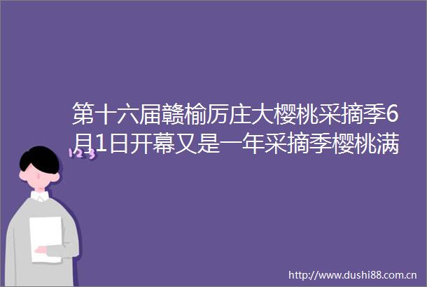 第十六届赣榆厉庄大樱桃采摘季6月1日开幕又是一年采摘季樱桃满枝待客来