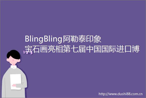 BlingBling阿勒泰印象宝石画亮相第七届国际进口博览会