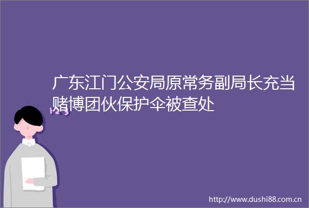 广东江门局原常务副局长充当赌博团伙被查处