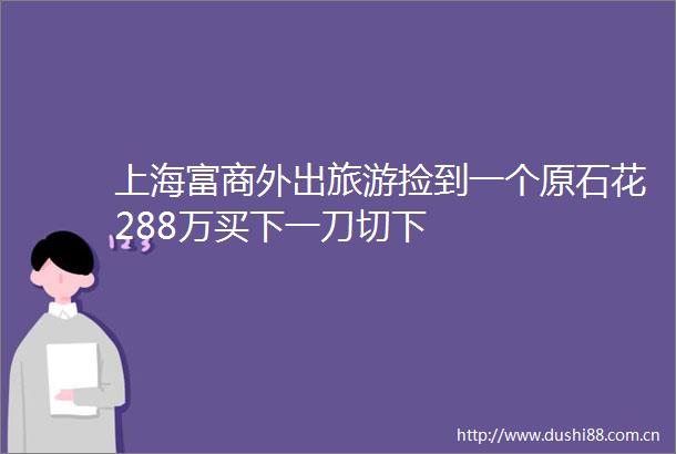上海富商外出旅游捡到一个原石花288万买下一刀切下