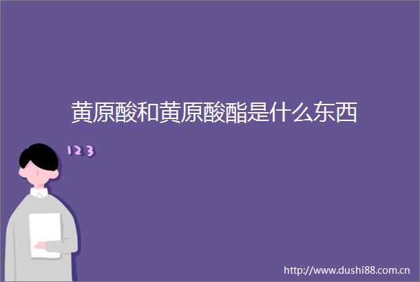 黄原酸和黄原酸酯是什么东西