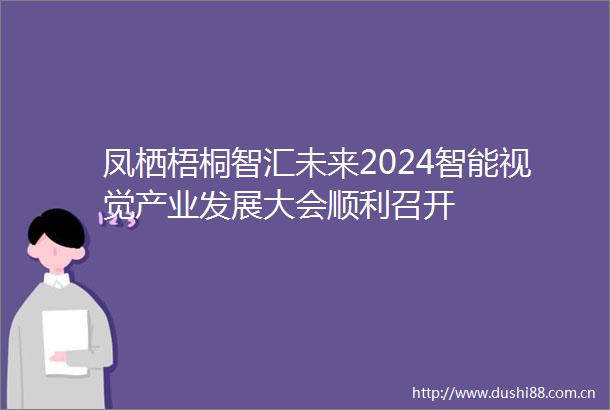 凤栖梧桐智汇未来2024智能视觉产业发展大会顺利召开