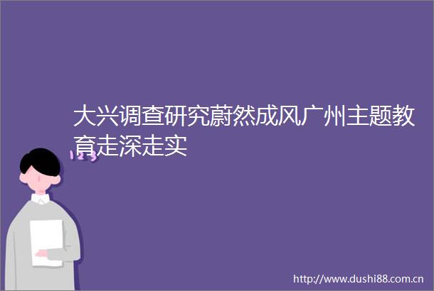 大兴调查研究蔚然成风广州主题教育走深走实