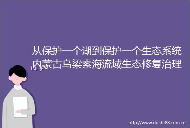 从保护一个湖到保护一个生态系统内蒙古乌梁素海流域生态修复治理模式观察