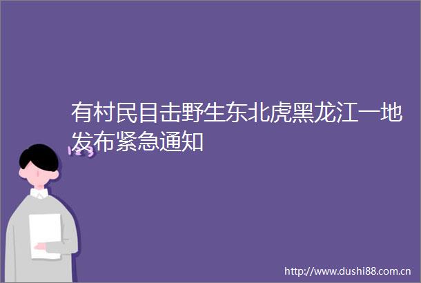 有村民目击野生东北虎黑龙江一地发布紧急通知
