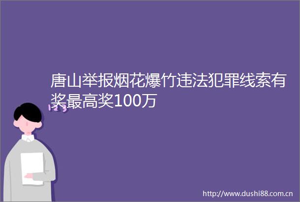 唐山烟花爆竹线索有奖最高奖100万