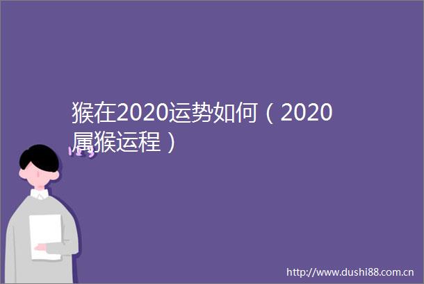 猴在2020运势如何（2020属猴运程）