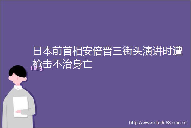前首相安倍晋三街头演讲时遭击不治身亡