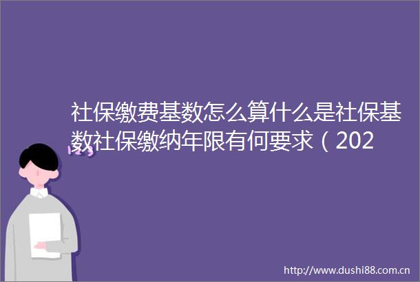 社保缴费基数怎么算什么是社保基数社保缴纳年限有何要求（2025年6月25日）