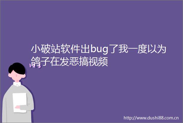 小破站软件出bug了我一度以为鸽子在发恶搞视频
