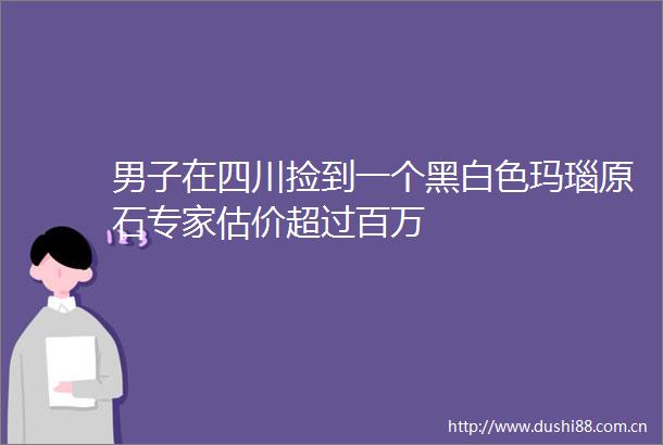 男子在四川捡到一个黑白色玛瑙原石专家估价超过百万