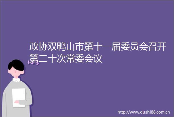 政协双鸭山市第十一届委员会召开第二十次常委会议