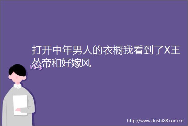 打开中年男人的衣橱我看到了X王怂帝和好嫁风