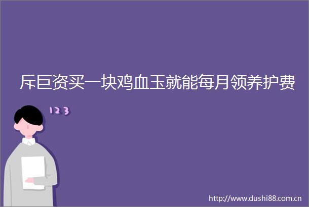 斥巨资买一块鸡血玉就能每月领养护费