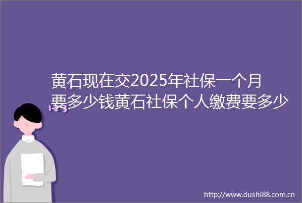 黄石现在交2025年社保一个月要多少钱黄石社保个人缴费要多少钱