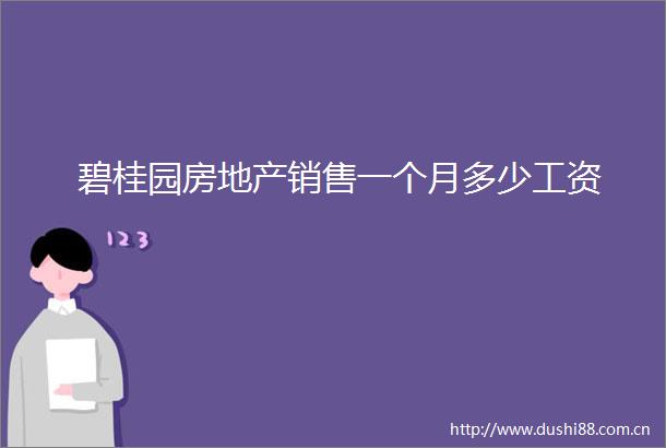 碧桂园房地产销售一个月多少工资