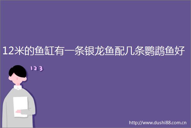 12米的鱼缸有一条银龙鱼配几条鹦鹉鱼好