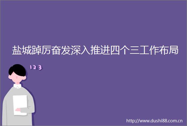 盐城踔厉奋发深入推进四个三工作布局