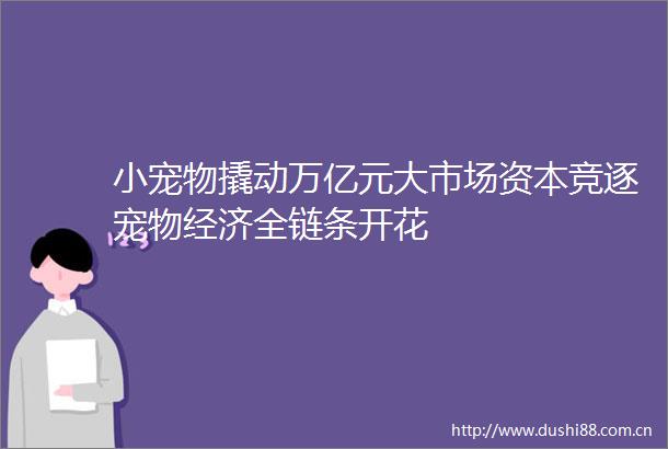 小宠物撬动万亿元大市场资本竞逐宠物经济全链条开花