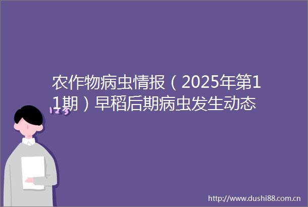 农作物病虫情报（2025年第11期）早稻后期病虫发生动态