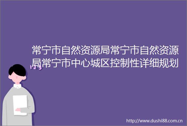 常宁市自然资源局常宁市自然资源局常宁市中心城区控制性详细规划编制工作采购项目项目公开招标公告