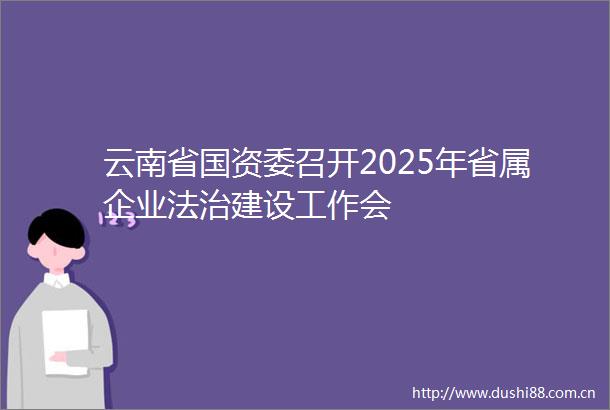 云南省国资委召开2025年省属企业法治建设工作会