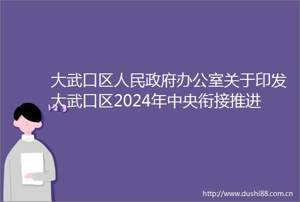 大武口区办公室关于印发大武口区2024年中央衔接推进乡村振兴补助资金分配计划的通知